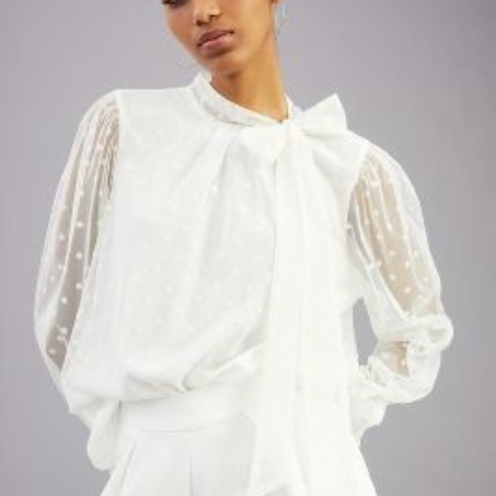 Tulle Neck-Tie Blouse